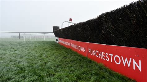 punchestown fixtures|SCHEDULE .